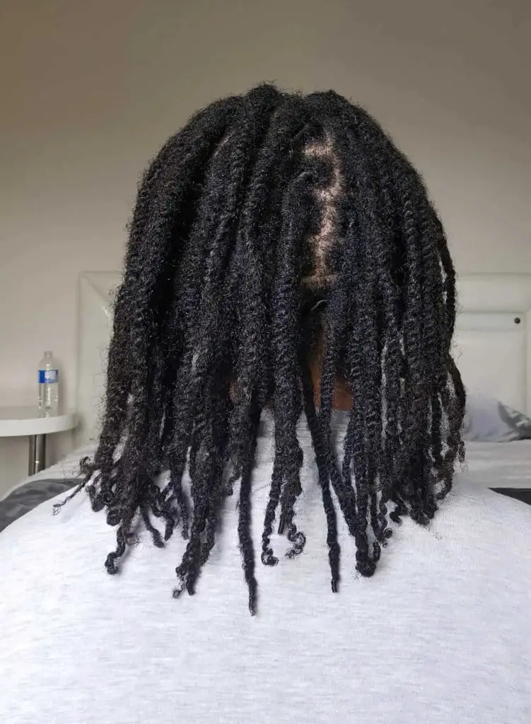 Collarbone Twists Protective Styling Collarbone Twists Protective Styling — Simple Two Strand Twists