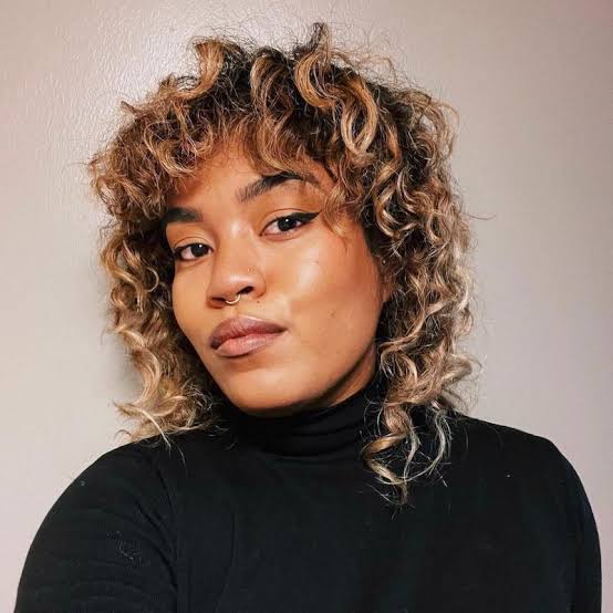 Dark Brown Curly Wolf Cut With Blonde Highlights Dark Brown Curly Wolf Cut With Blonde Highlights — Simple Wolf Cut Hair