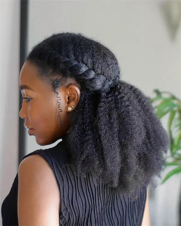 Mid-Back Braids and Ponytail — Trendy 4c Hair