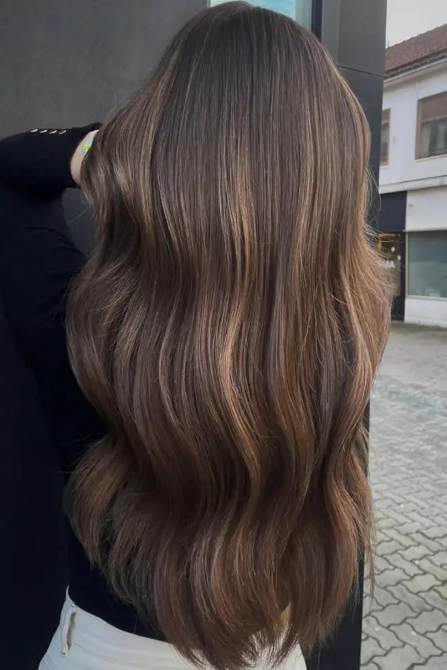 Cool Dark Brown With Subtle Highlights, Mid-Back Cool Dark Brown With Subtle Highlights, Mid-Back — Trendy Cool Brown Hair