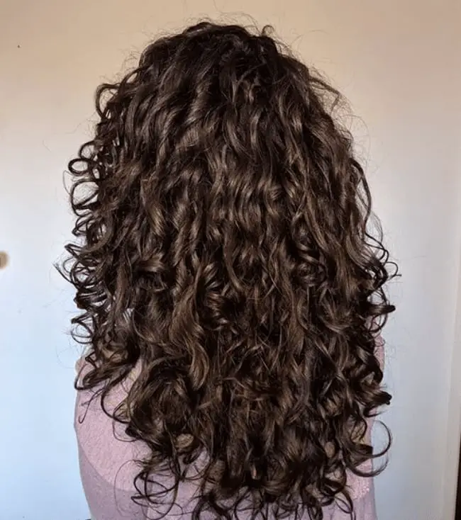 Mid-Back Dark Brown Curls Back View, Close-Up Take Mid-Back Dark Brown Curls Back View, Close-Up Take — Trendy Curly Hair Down