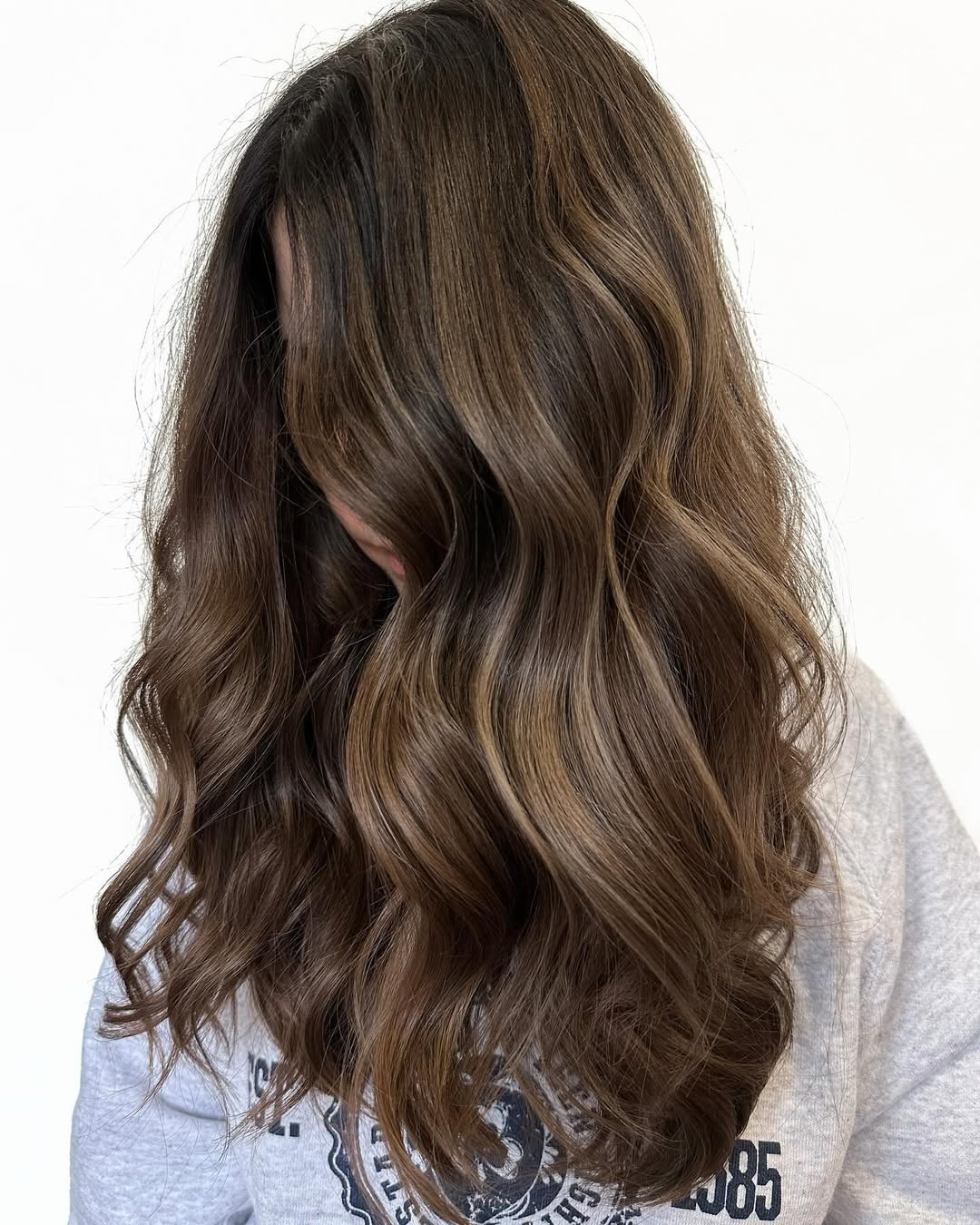 Mid-Back Dark Brown With Lighter Highlights Blowout, Close-Up Take Mid-Back Dark Brown With Lighter Highlights Blowout, Close-Up Take — Trendy Dark Hair Color