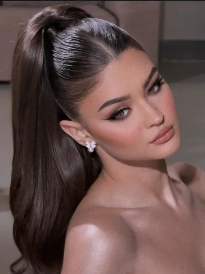 Ultra-Sleek High Shine Dark Brown Ponytail — Trendy Sleek Ponytail