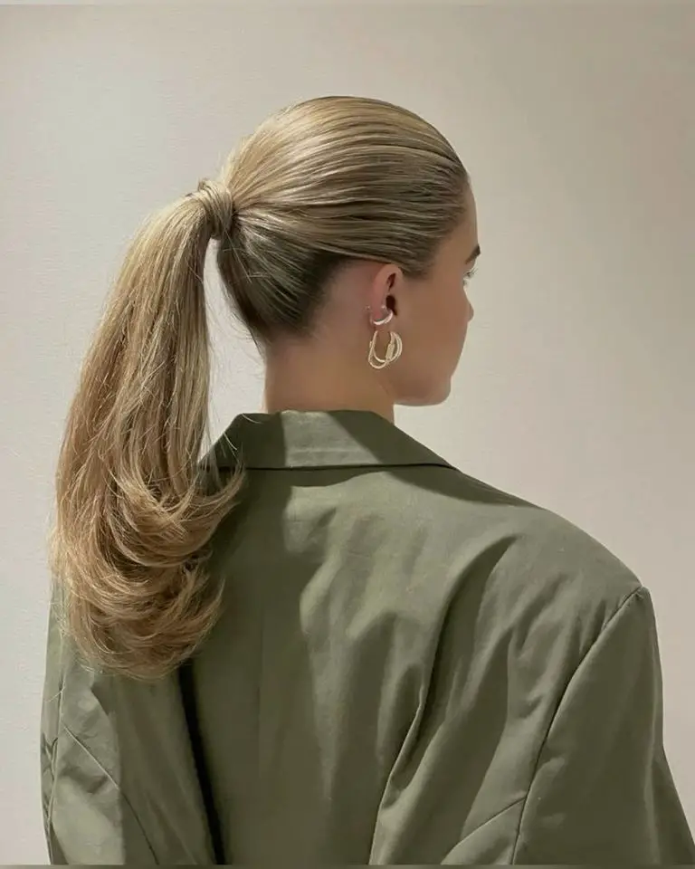 Thick Dark Brown High Ponytail Thick Dark Brown High Ponytail — Trendy Slick Back Ponytail